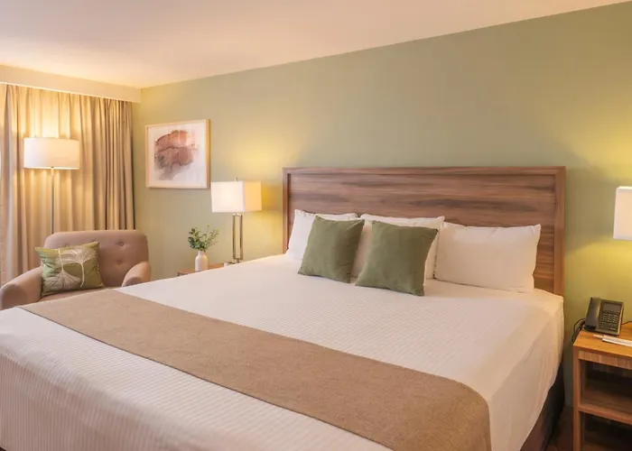 Stanza Hotel Mexico City